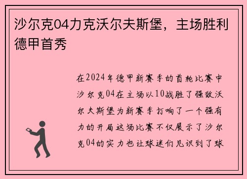 沙尔克04力克沃尔夫斯堡，主场胜利德甲首秀